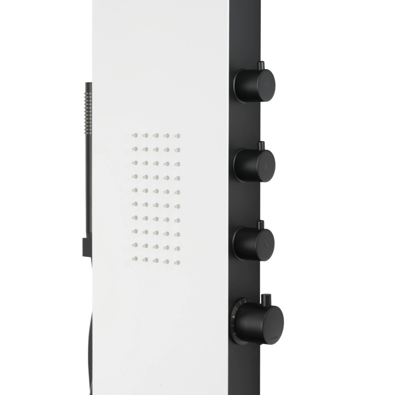 Duschpaneel DUO, Aluminium