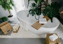 Zielono mi! Jakie rośliny do łazienki sprawdzą się najlepiej